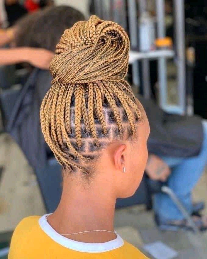 ponytail knotless braids